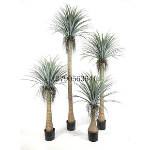 ������Ѫ����Ѫ�F���Ƙ�|ݸ���S���ֲ�����lҬ�Ә��ؙ����[��