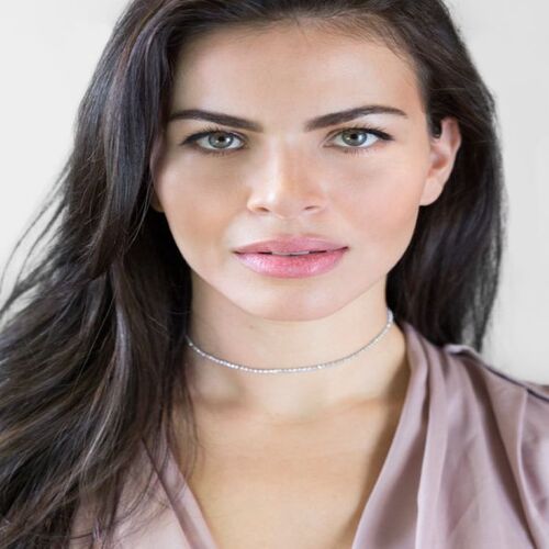 Hot-selling European and American-style jewelry: Elegant diamond-studded full-diamond necklace, fashionable and versatile rhinestone claw chain, clavicle necklace for women.