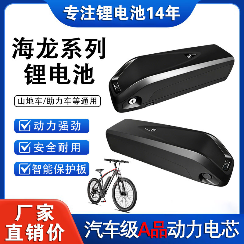 36V25.6Ah 48V Hailong Model No. 1 and Type 2 Electric Vehicle Lithium Battery Mountain Moped Power Lithium Battery