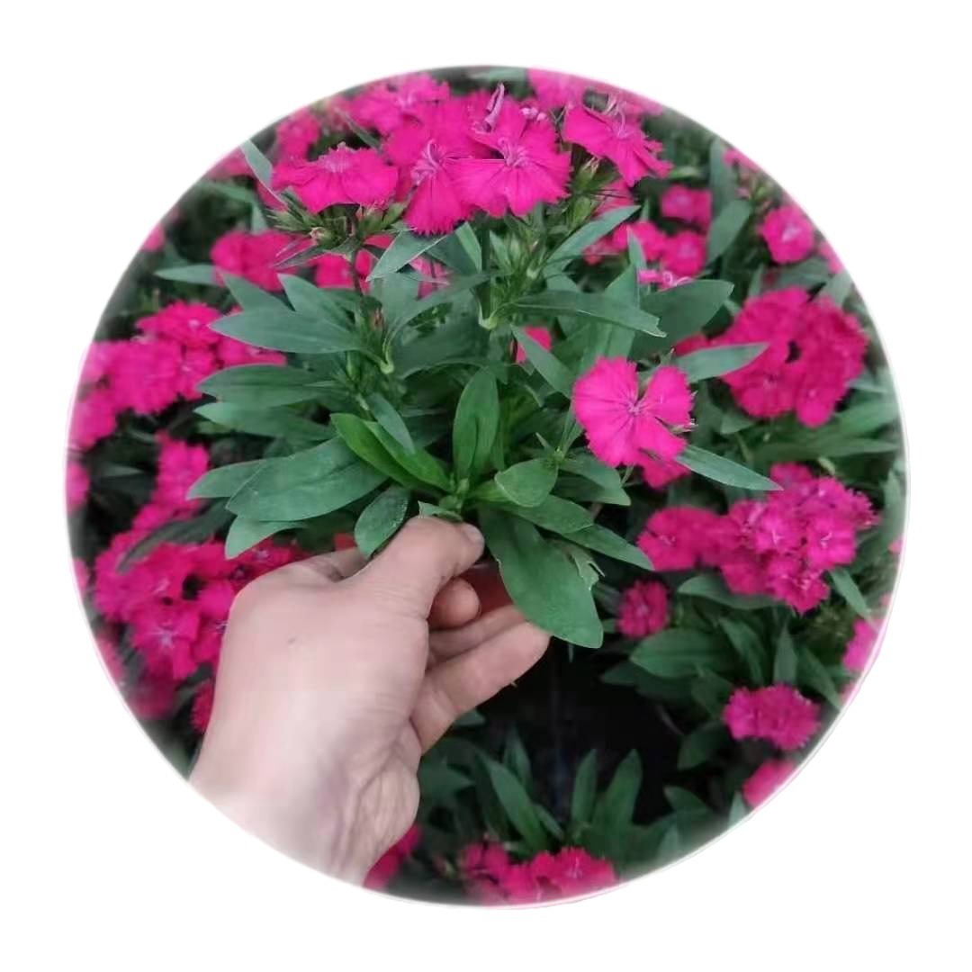 2024-03-26 22:02:40.jpg