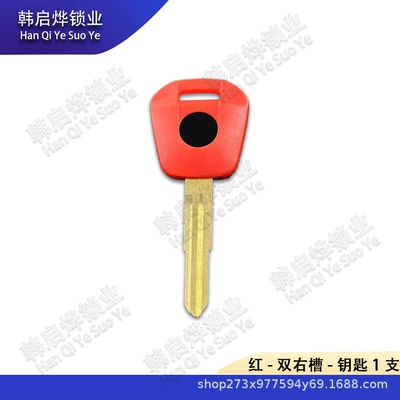 Honda Motorcycle Gold Wing Gl1500: Motorcycle Key