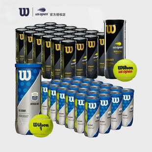 �����d Wlson �W�� �ľW US Open���W Ӗ���W���M���վW�����l