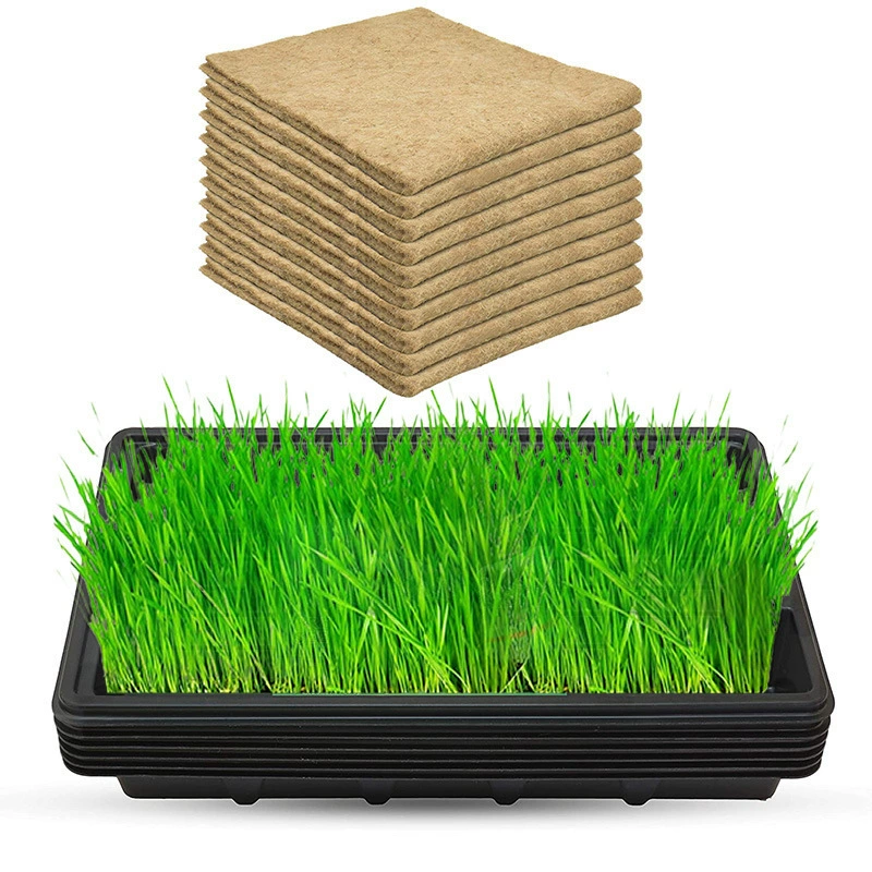 Комплект для выращивания растений гидропонный джутовый держатель для роста растений, подходящий для микрозелени и пшеничной соломы
