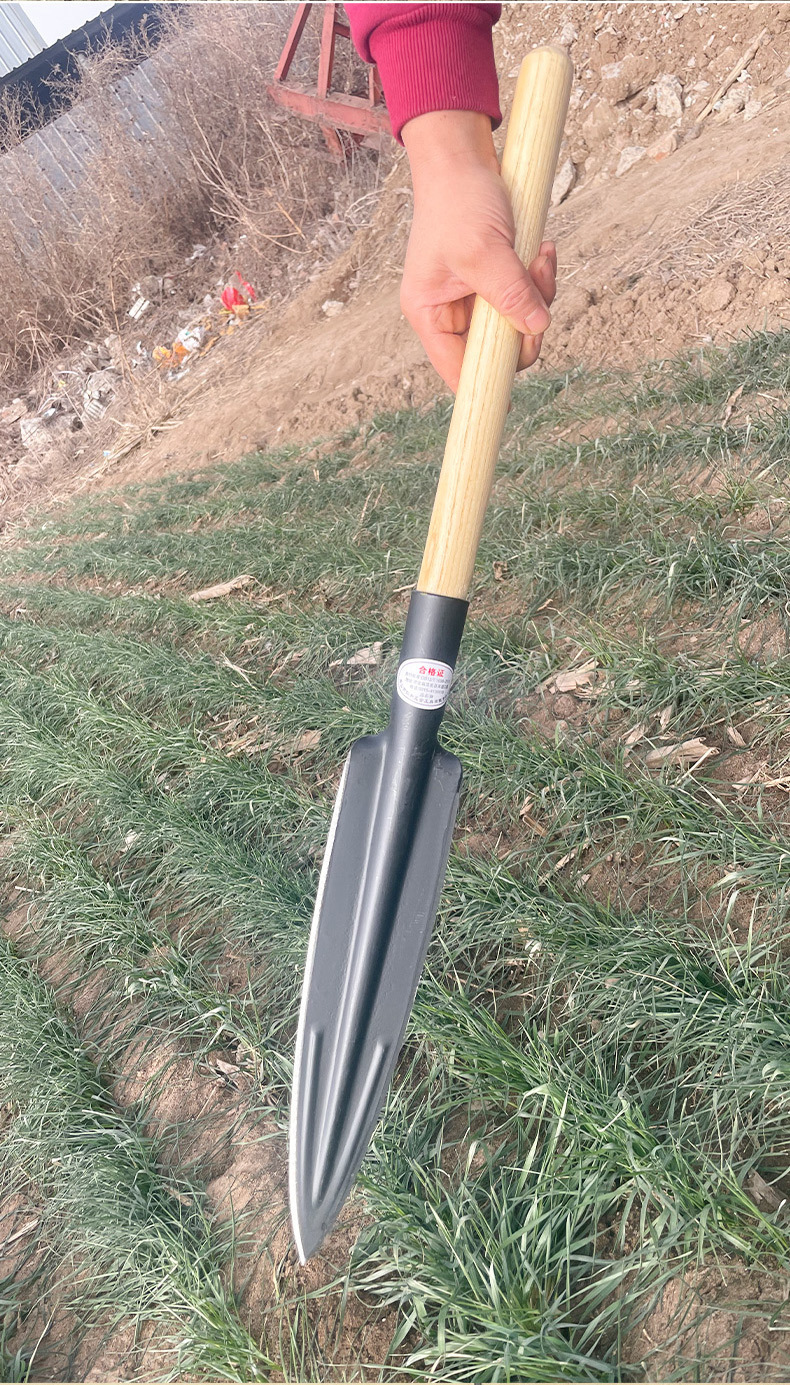 7dc9cbd7-a863-45d0-a7a7-ecce29ec6515.jpe