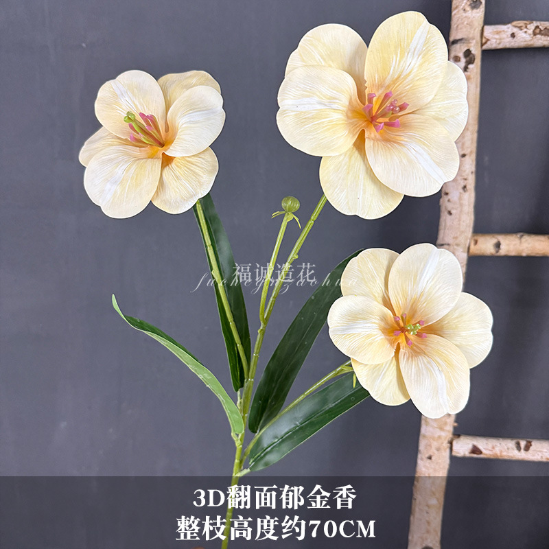 3D 뒤집힌 튤립