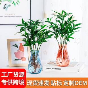 ����廨�Ҿӿ͏d�b[���G�}�~�Xˮ�໨ƿ����͸����֬ˮ�B����