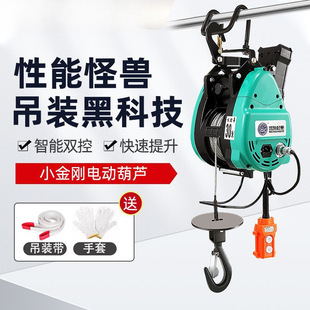 Xiaojingang Electric Hoist 220V Household Hanging Double-Hole Lifting Crane Air Conditioner Wire Rope Portable New Gold