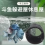 休息方便舒适斗鱼