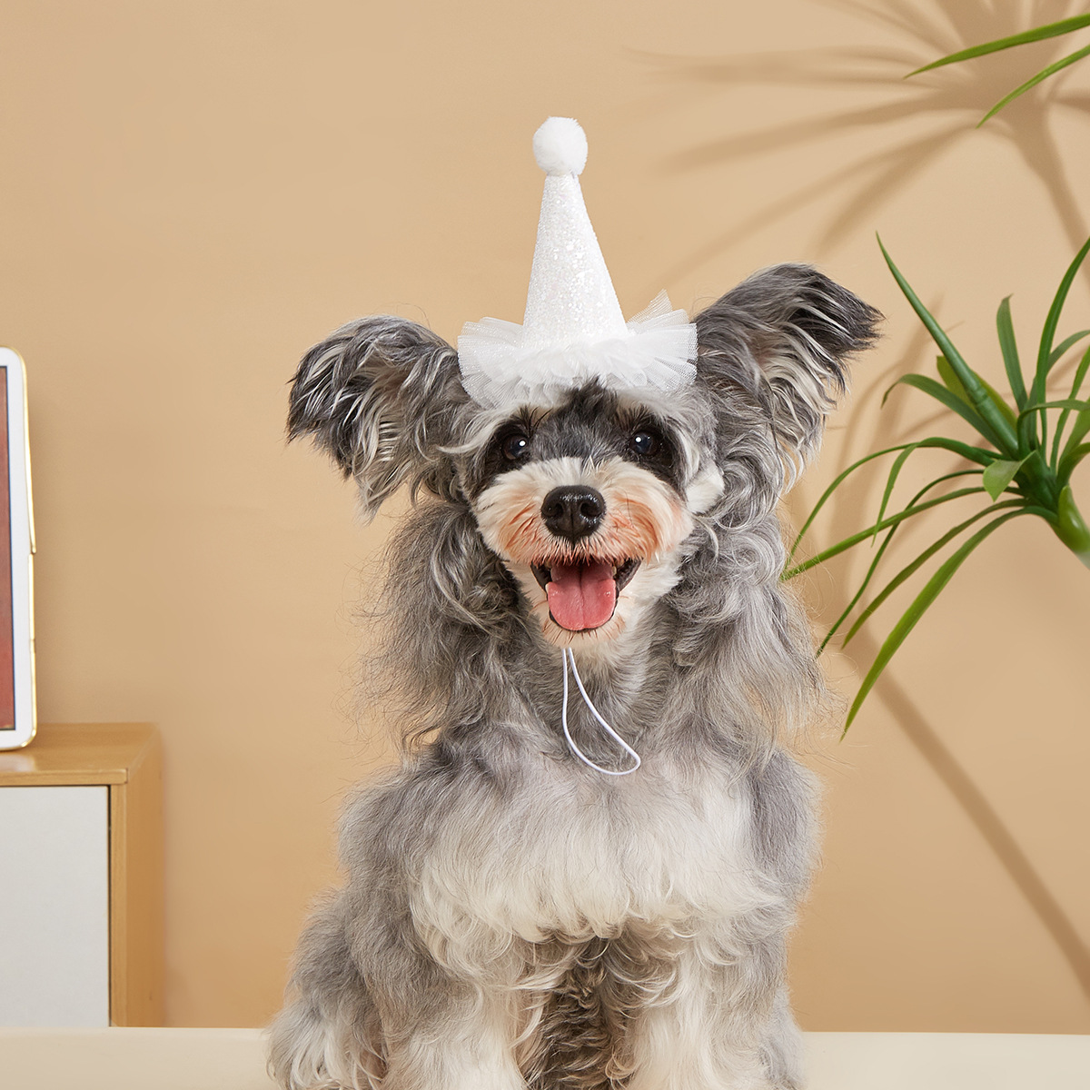 TANPOPO nuevo spot inswind perro sombrero de cumpleaños con sombrero digital de alta calidad para mascotas