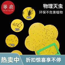 ���]/ճ�x��B1P42-�S���p��ճ�x���E�R���N�S�{�w�xС
