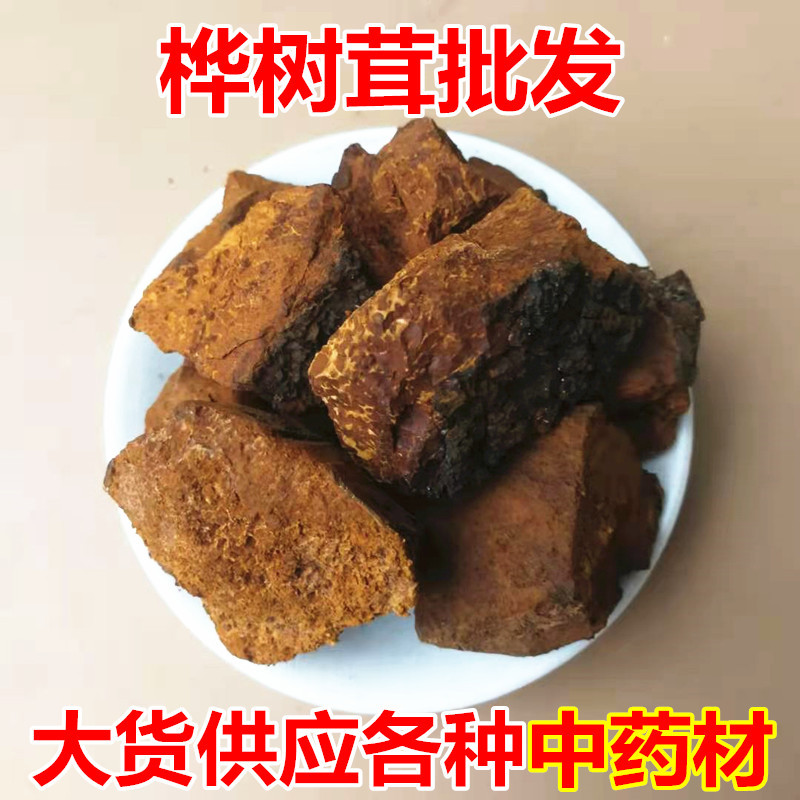 Chaga Mushroom Bulk Dried Sclerotia Huashurong Inonotus obliquus for Tea and Decoction 500g overview