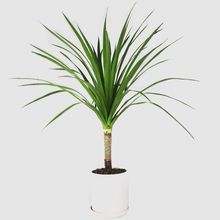 ���F����^��Ѫ�����Ϙ������լ���������횘仨���҃ȿ͏d