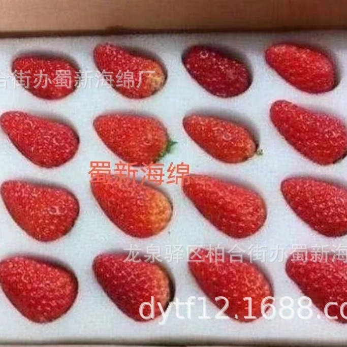 草莓托海绵包装/草莓托海绵内托/草莓托海绵内衬/草莓托海绵衬垫