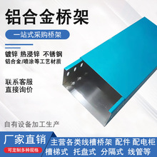 镀锌桥架线槽防火100*200喷涂铝合金304不锈钢热镀锌槽梯式