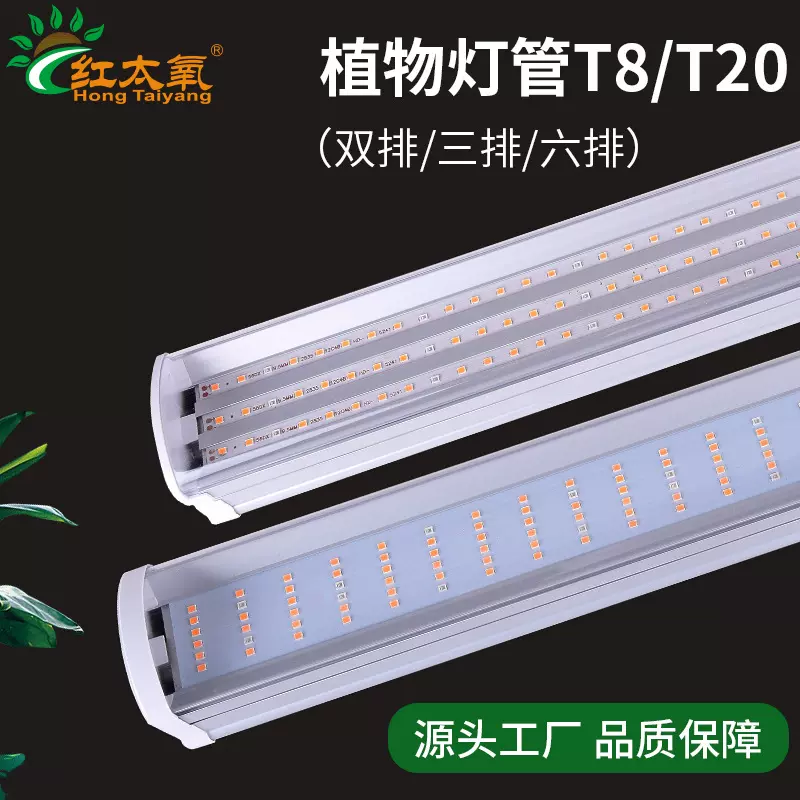 全光谱T8T20植物灯管生长灯三排LED室内家用花卉上色多肉补光灯