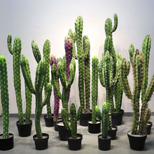 ��������������ľ�Gֲֲ�������҃��b��辰���b�[�����þ��^�쾰