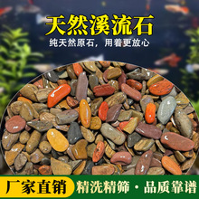 厂家直销天然溪流石生态鱼缸装饰造景五彩底砂过滤龟缸专用溪流砂