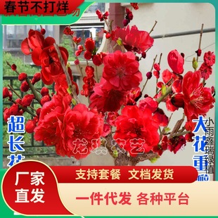 һ�����l�������͟��ͺ��ļ�÷���D÷�t÷�҃������Ժ��B�׻��Ϸ�