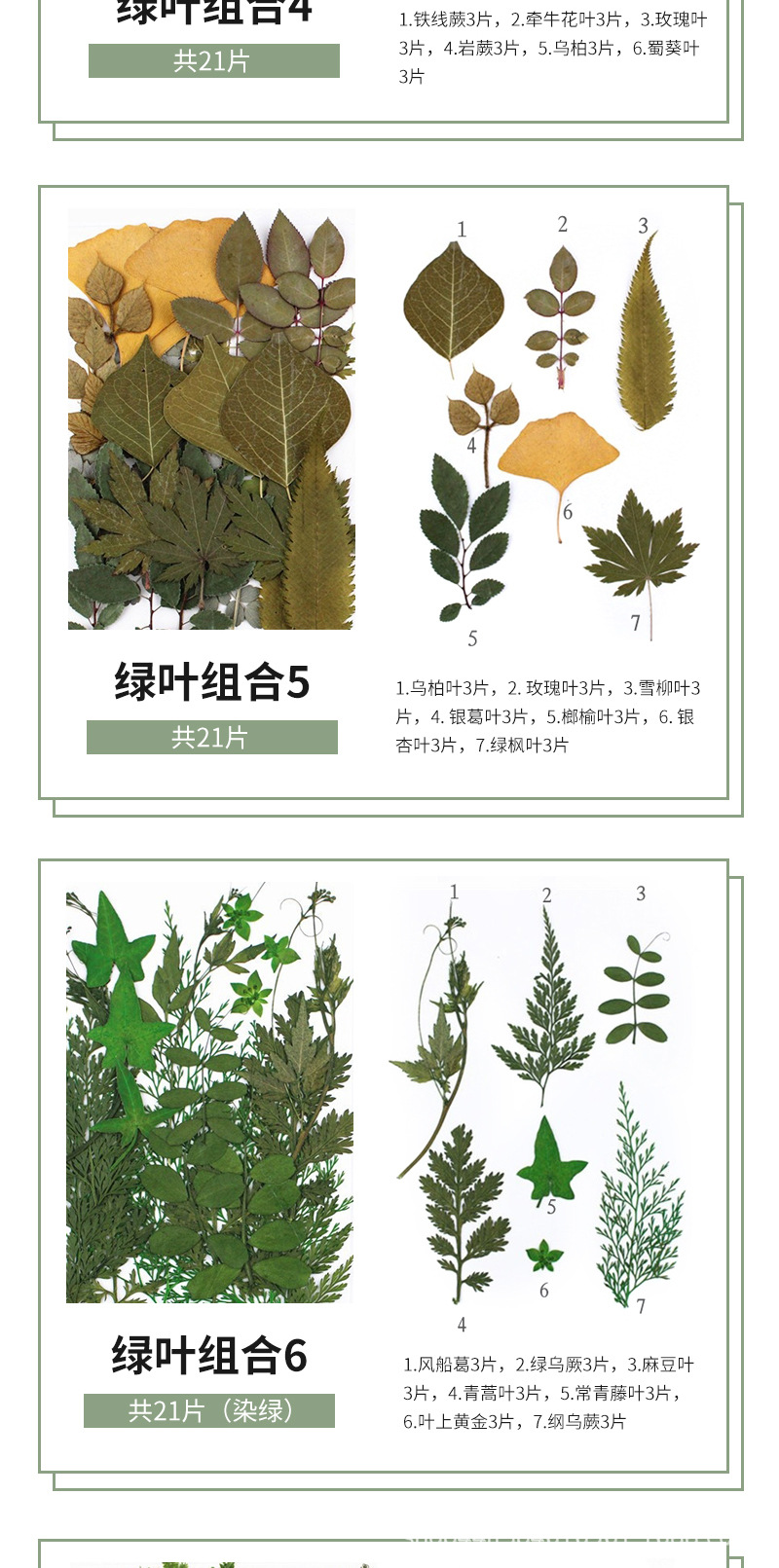 详情页_08.jpg