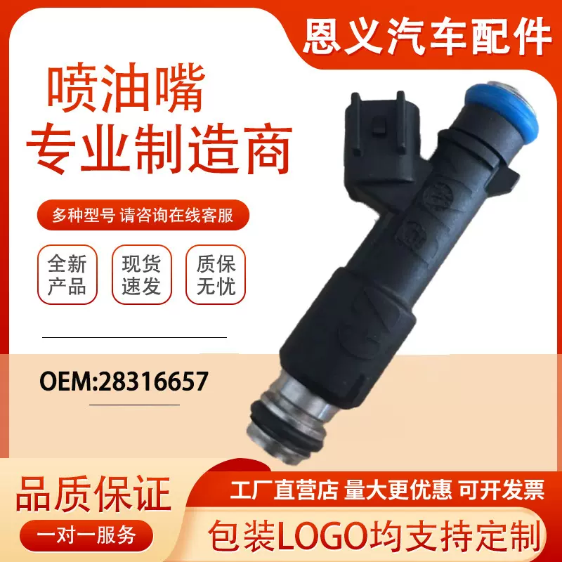 28316657 汽车喷油嘴 出口俄罗斯 4216-1132010