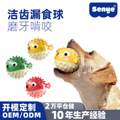 森ふぐペットは犬のおもちゃのボールを食べます。