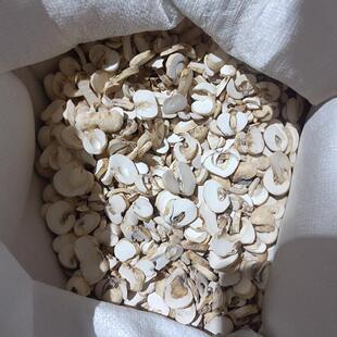 ��ؐĸƬ500�˲����l�F؛���� ����ؐ����؛