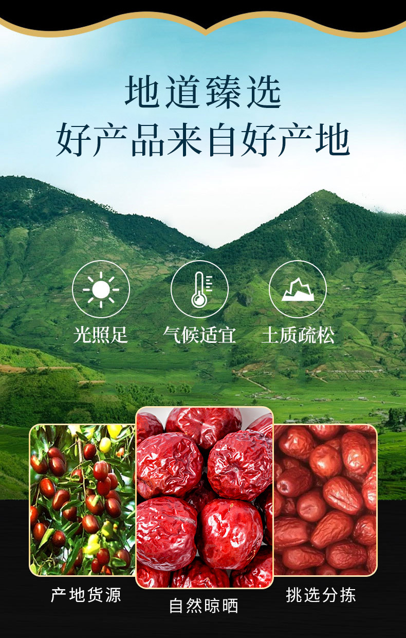 Jujube Dates (Ziziphus jujuba) — Dried Red Date for Soup, Congee & Daily Tea overview