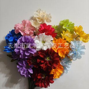 ���滨�_�������������L��c���Ĵ����Օһ�Ī�λ��@�쾰·����ˇ