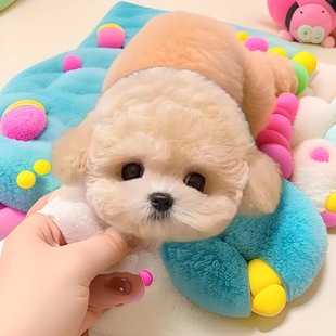 ̩��Ȯ��Ȯ���w��С��С�͌��ﹷ���㙉ɫ����̩���ܲ豭Ȯ���pȮ