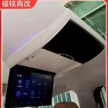 Ceiling Tv, Car TV
