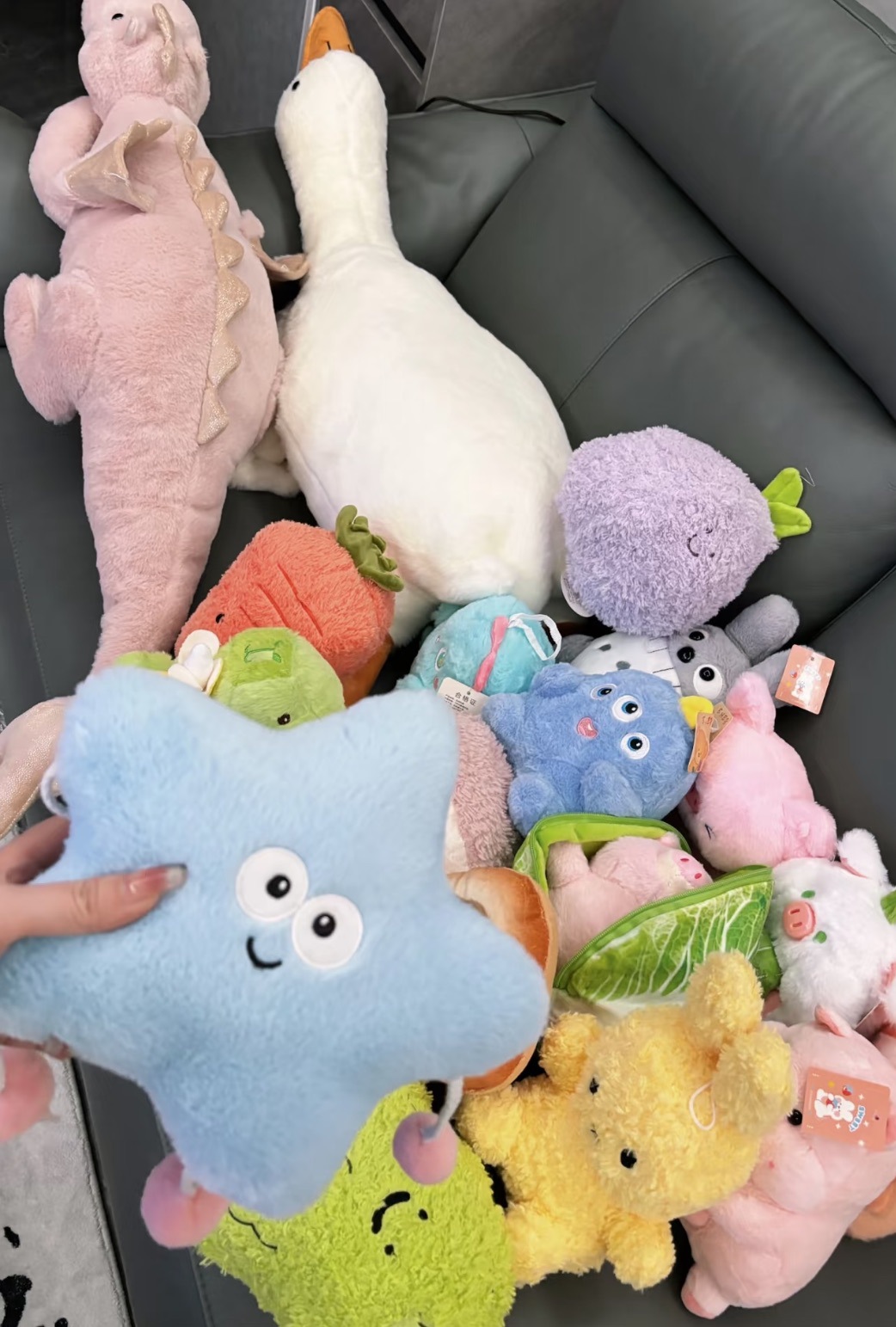 9c3a86bbd5cc32fee5fa5ad77b5f4d