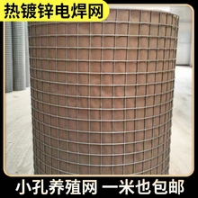 �F�z�W䓽z�W���ڷ��o�W����ږřڑ�����x����W�r�u�W�F�W�W��