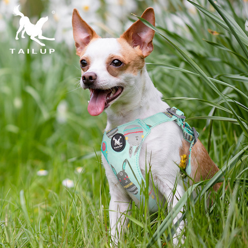 Dog supplies small dog fashion cartoon harness Teddy VIP outing traction twill vest Japanese and Korean style