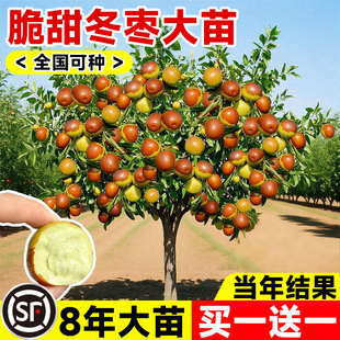 �������󗗳��𶬗��������ͥԺ���԰���մ�����ϱ����Nֲˮ��