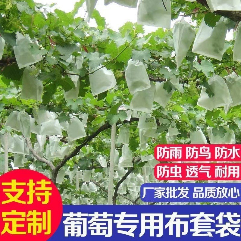 无纺布葡萄套袋水果加厚防虫防水防雨桃子梨子一次性防鸟果袋套袋