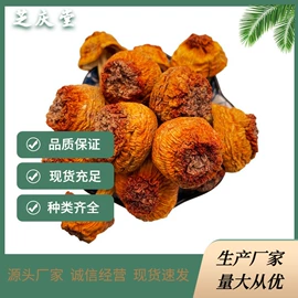 植物提取物;灵芝;其他干货