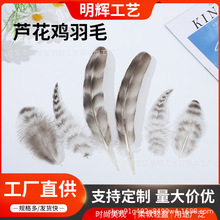 芦花鸡毛羽毛13-20公分花纹羽毛工艺品野鸡毛天然色羽毛