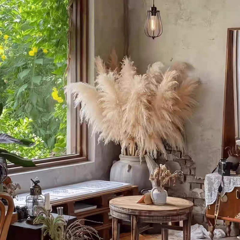 Big reed real flower dried flower wholesale decorative clothing store window wedding pampas Amazon temu Xiyin cross-border