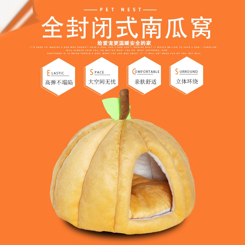 Тыквенный питомник кошачий питомник