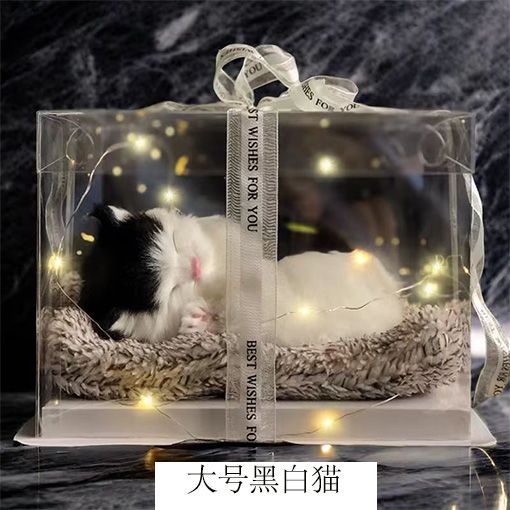 Regalos de Día de San Valentín, novia, novia, regalo de cumpleaños, muñecas de simulación de animales llamarán gatos.