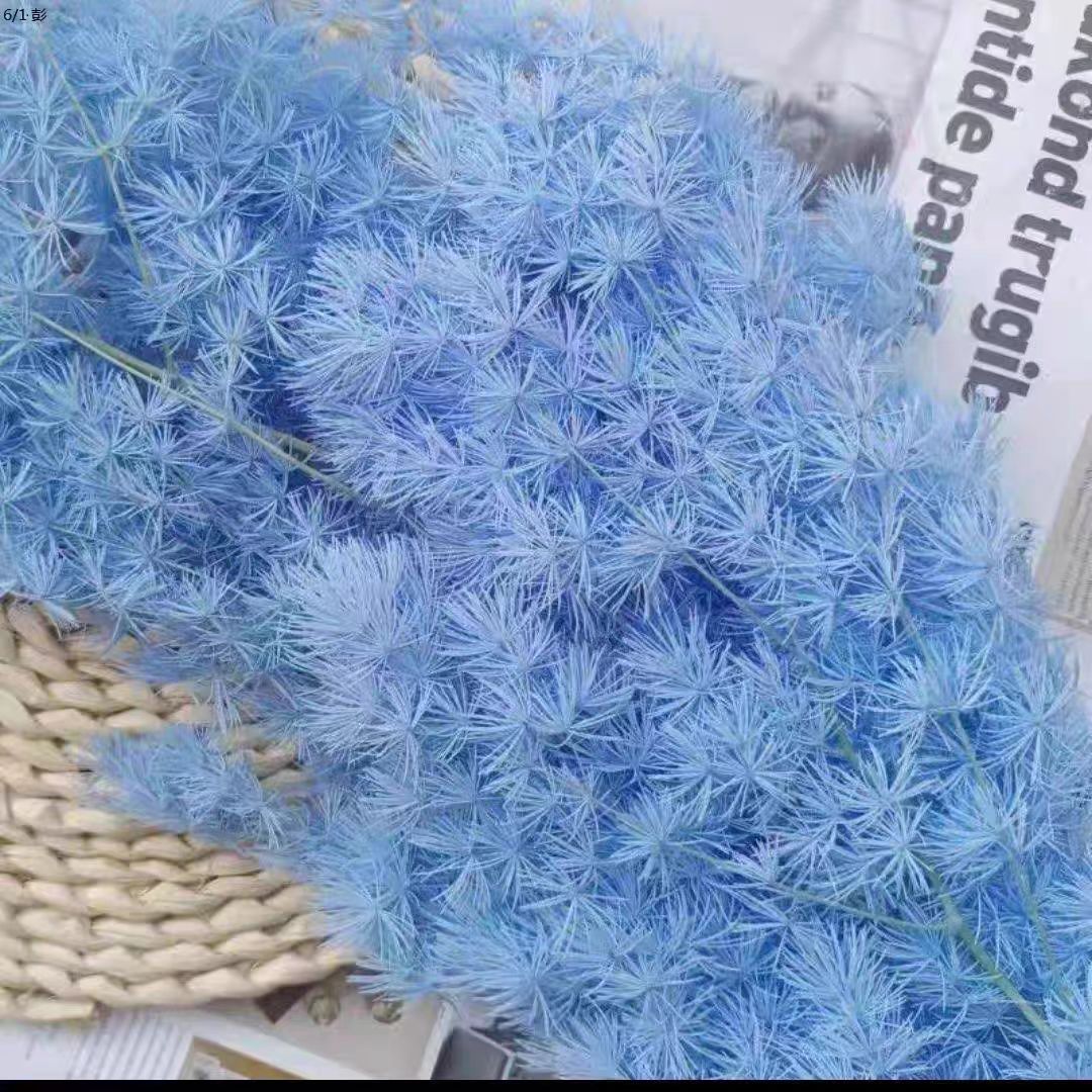 Bleu clair 100g