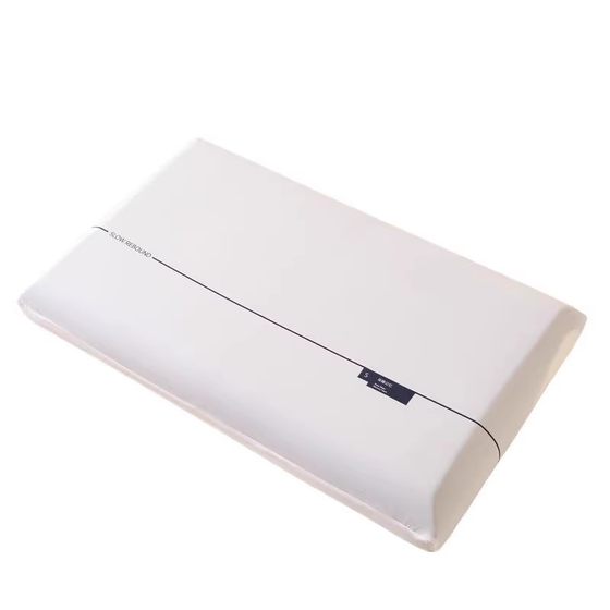 Five-star Asia Hotel 2nd Generation Deep Sleeping Pillow PRO Memory Foam Adult Pillow Set of Pillow Core Neck Pillow Planet