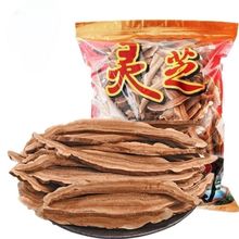 `֥Ƭ`֥`֥ݲҜLɽҰ`֥ݾ