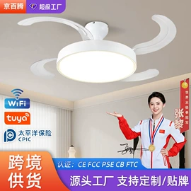 风扇灯;吸顶灯;吊灯