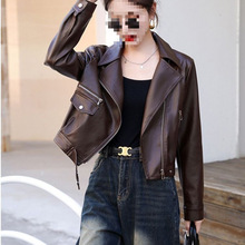 2025�����¿�Ƥ������Ů�̿�C܇�����eС����puƤ���b�I�A��