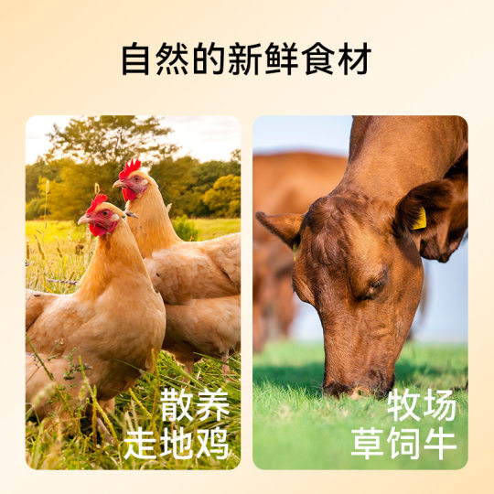 Dog High Meat Low Fat Ham Sausage Teddy Bichon Cat Puppy Sausage Whole Box Spree Pet Training Food