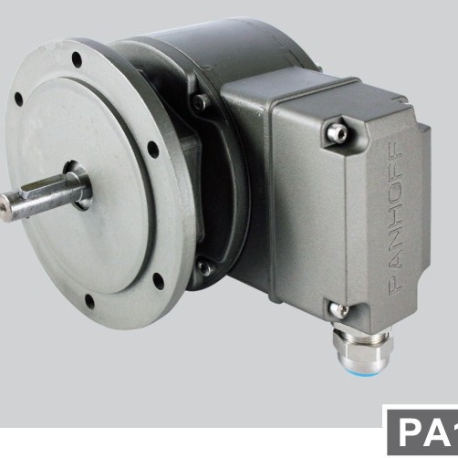 PANHOFF编码器 超速开关