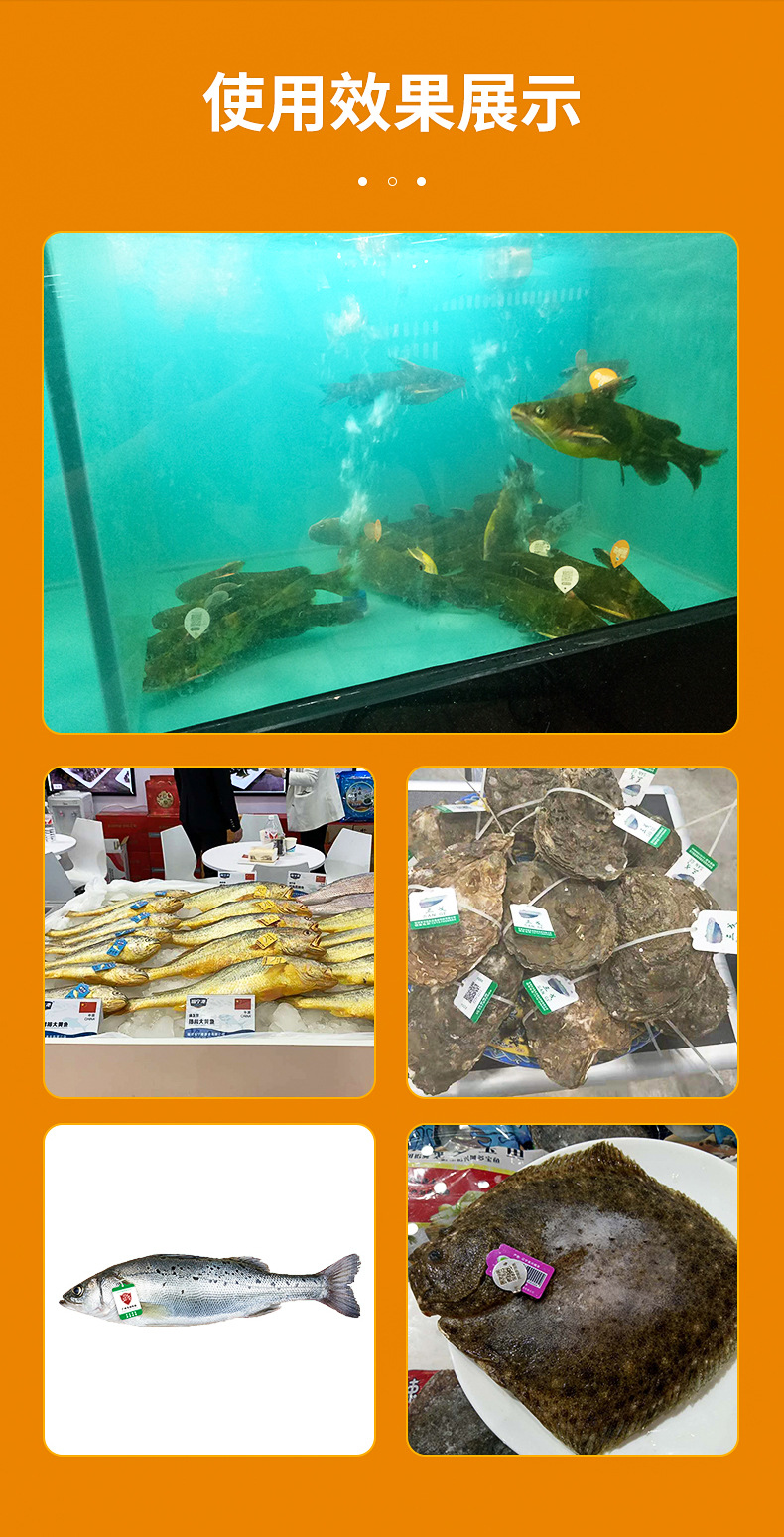 水产品溯源吊牌2-拷贝_07