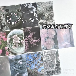 Korean Ins Style Flower Series Sulfuric Acid Paper M5 Hazy Material Paper Handbook Decoration Collage Material 16P Non-Repeating