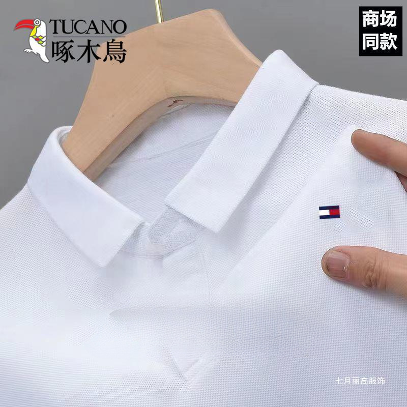 딱따구리 브랜드 봄 긴팔 티셔츠 남성 가을복 청년 카라폴로셔츠 루즈핏 캐주얼 중년 남성 베이직 레이고